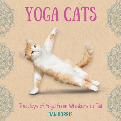 Yoga Cats by Borris, Dan