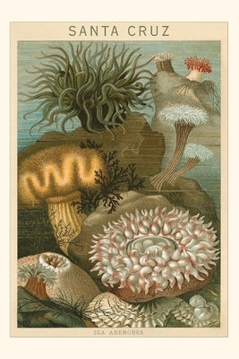 Vintage Journal Sea Anemones, Santa Cruz, California by Found Image Press
