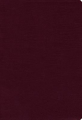 NIV, Thinline Bible, Bonded Leather, Burgundy, Red Letter Edition by Zondervan