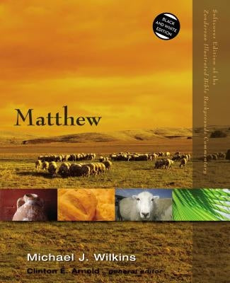 Matthew by Wilkins, Michael J.