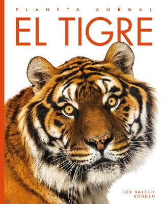 El Tigre by Bodden, Valerie