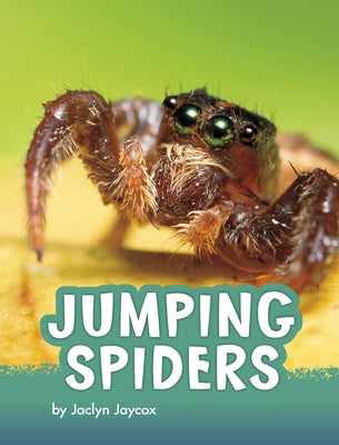 Jumping Spiders by Archer, Claire