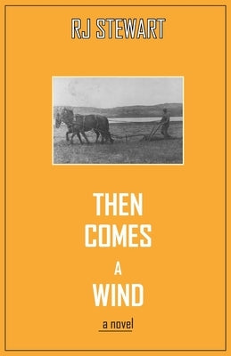 Then Comes a Wind by Stewart, Ronald (Rj)
