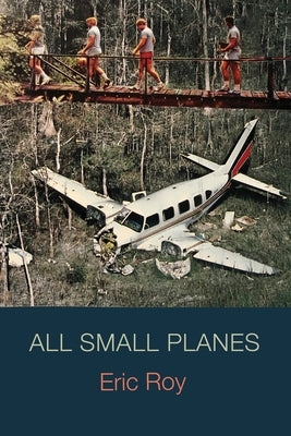 All Small Planes by Roy, Eric