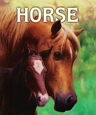 Horse by Doyle, Malachy
