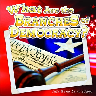 What Are the Branches of Government? by Matzke, Ann
