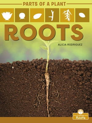 Roots by Rodriguez, Alicia