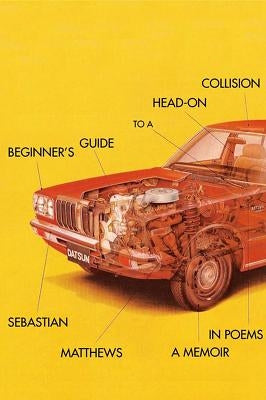 Beginner's Guide to a Head-On Collision by Matthews, Sebastian