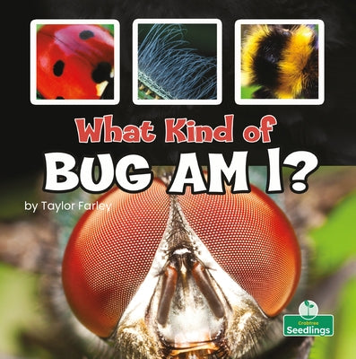 What Kind of Bug Am I? by Farley, Taylor