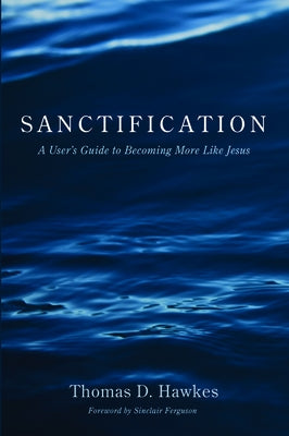 Sanctification by Hawkes, Thomas D.