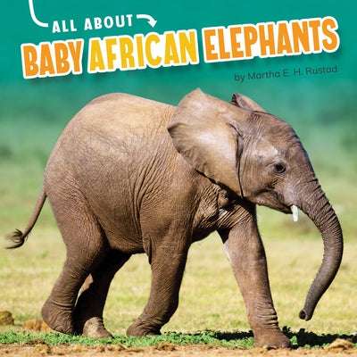 All about Baby African Elephants by Rustad, Martha E. H.