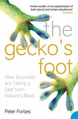 The Gecko's Foot by Forbes, Peter