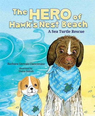 The Hero of Hawk's Nest Beach: A Sea Turtle Rescue by Barbara Gervais Ciancimino