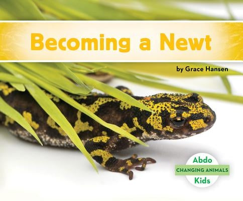 Becoming a Newt by Hansen, Grace