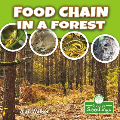 Food Chain in a Forest by Walker, Alan