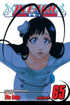 Bleach, Vol. 65, Volume 65 by Kubo, Tite