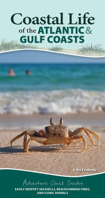 Coastal Life of the Atlantic and Gulf Coasts: Easily Identify Seashells, Beachcombing Finds, and Iconic Animals by Zambello, Erika