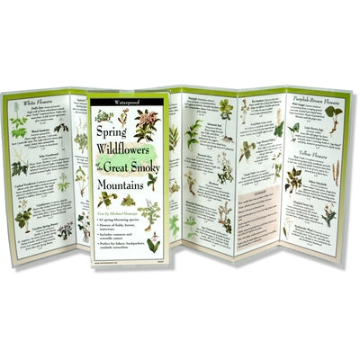 Spring Wildflowers of the Smoky Mountains by Homoya, Michael