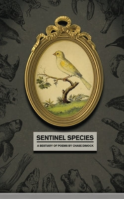 Sentinel Species by Dimock, Chase