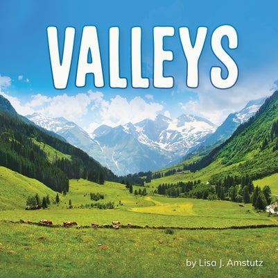 Valleys by Amstutz, Lisa J.