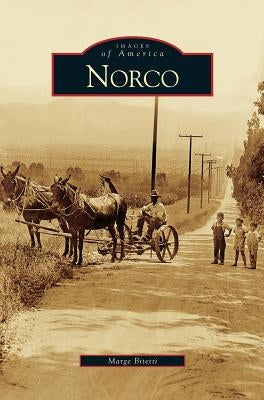 Norco by Bitetti, Marge