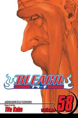 Bleach, Volume 58 by Kubo, Tite