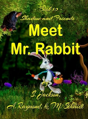 Shadow and Friends Meet Mr. Rabbit by Schmidt, Mary L.