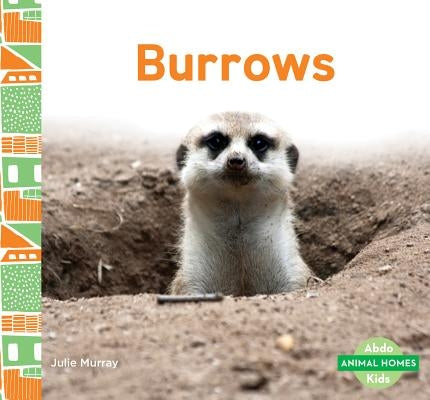 Burrows by Murray, Julie