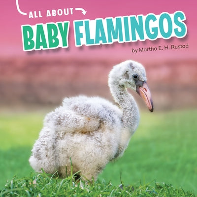 All about Baby Flamingos by Rustad, Martha E. H.