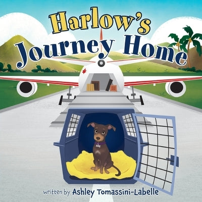 Harlow's Journey Home by Tomassini-LaBelle, Ashley