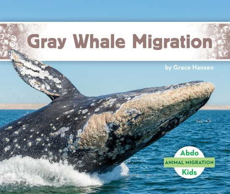 Gray Whale Migration by Hansen, Grace