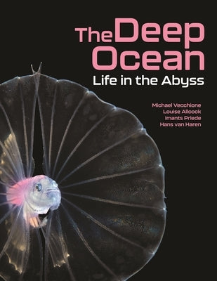 The Deep Ocean: Life in the Abyss by Allcock, Louise