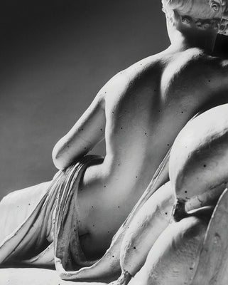 Canova: In Four Tempos by Pallavicino, Prince Domenico Antonio