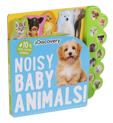 Discovery: Noisy Baby Animals! by Feldman, Thea