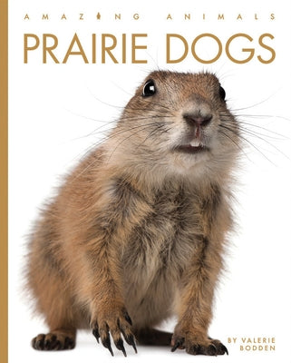 Prairie Dogs by Bodden, Valerie