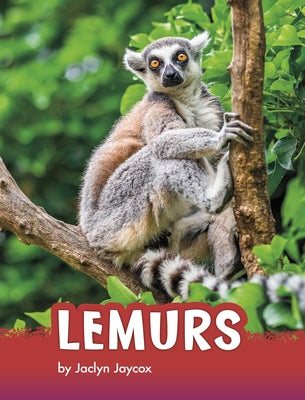 Lemurs by Jaycox, Jaclyn