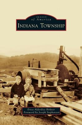 Indiana Township by Birkner, Erica Alderdice