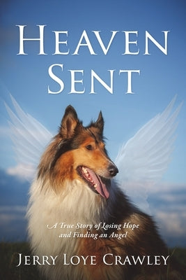 Heaven Sent: A True Story of Losing Hope and Finding an Angel by Crawley, Jerry Loye