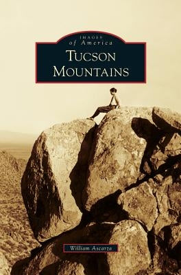Tucson Mountains by Ascarza, William