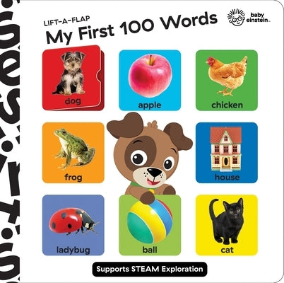 Baby Einstein: My First 100 Words: Lift-A-Flap by Pi Kids