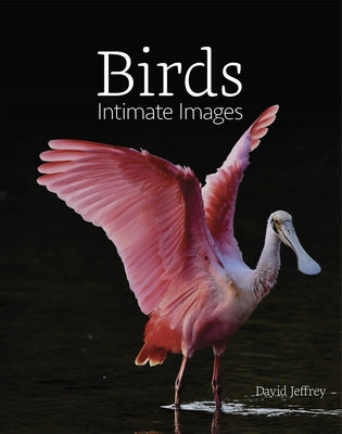Birds: Intimate Images by Jeffrey, David