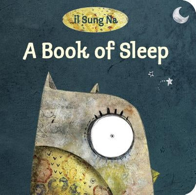 A Book of Sleep by Na, Il Sung