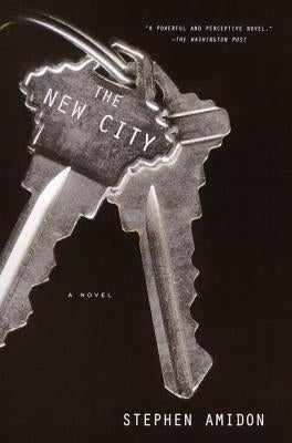 The New City by Amidon, Stephen