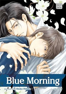 Blue Morning, Volume 3 by Hidaka, Shoko