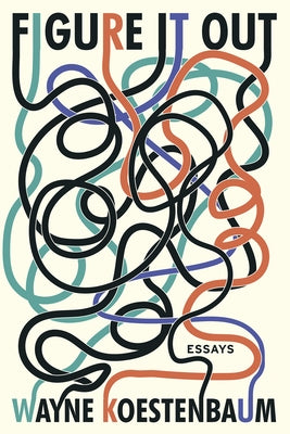 Figure It Out: Essays by Koestenbaum, Wayne