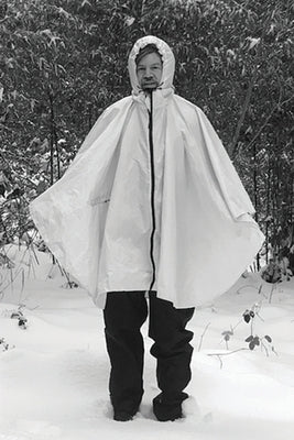 A Red Leaf Boat by Frost, Allen