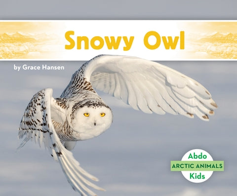 Snowy Owl by Hansen, Grace