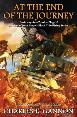 At the End of the Journey, Volume 9 by Gannon, Charles E.
