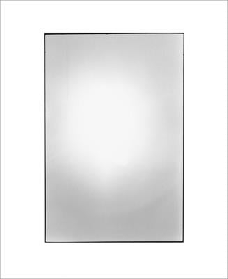Zoe Leonard: Available Light by Leonard, Zoe