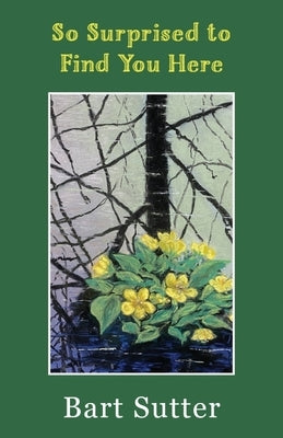 So Surprised to Find You Here: Poems by Sutter, Bart